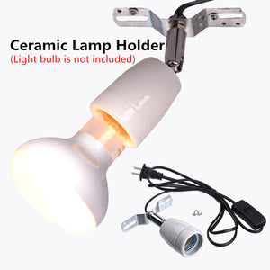 Enhance Your Reptile's Habitat with Our Ceramic Heat Lamp