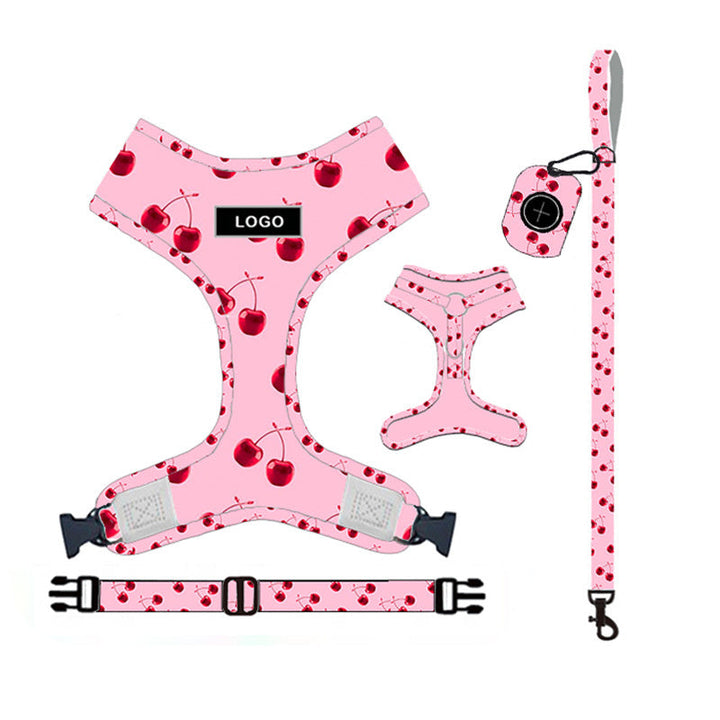 Unleash Adventure with Our Stylish Dog Leash Set!