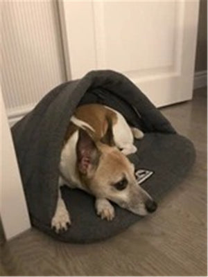 The Perfect Haven for Your Furry Friend