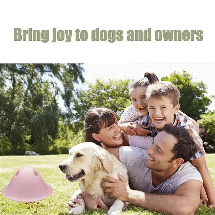 Engaging Your Dog: The Ultimate Interactive Chew Toy