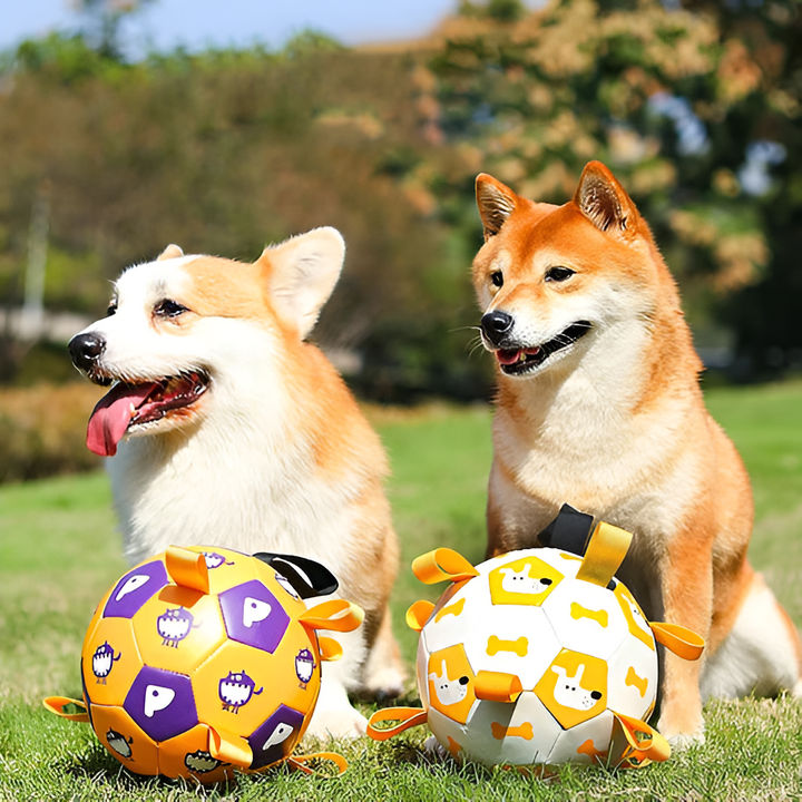 Why Quality Pet Toys Matter
