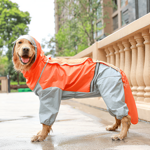 The Benefits of Stylish Pet Clothing