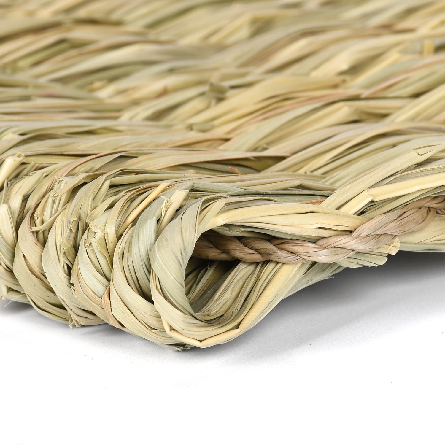 Totoro Guinea Pig Simulated Grass