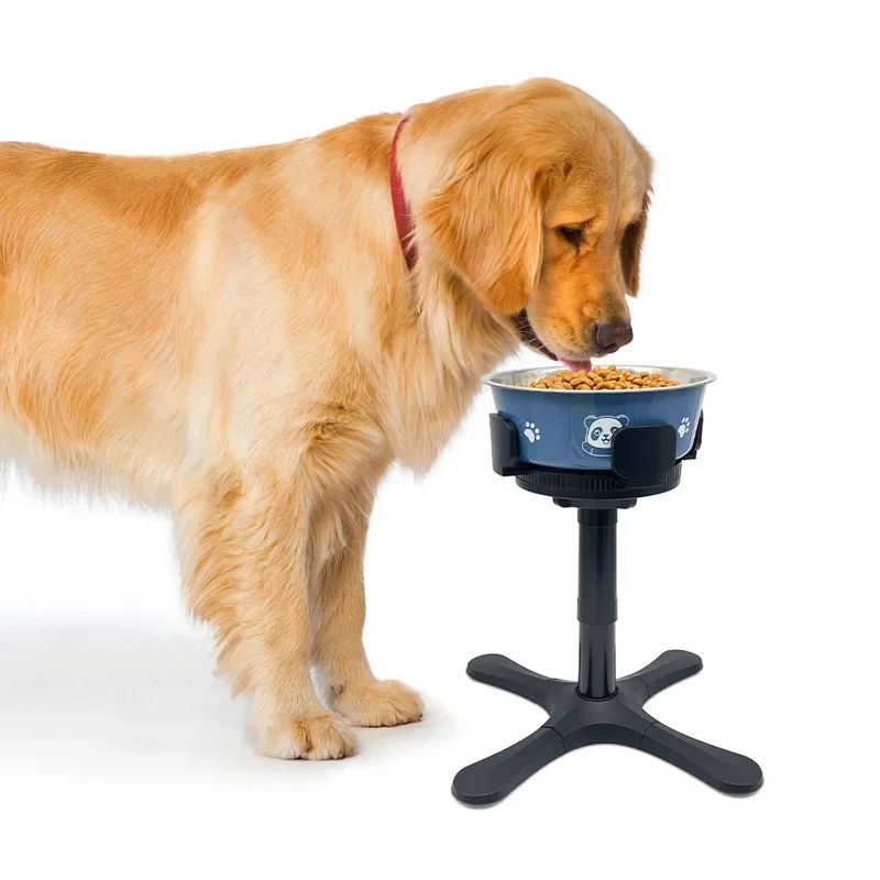 Adjustable Elevated Dog Food