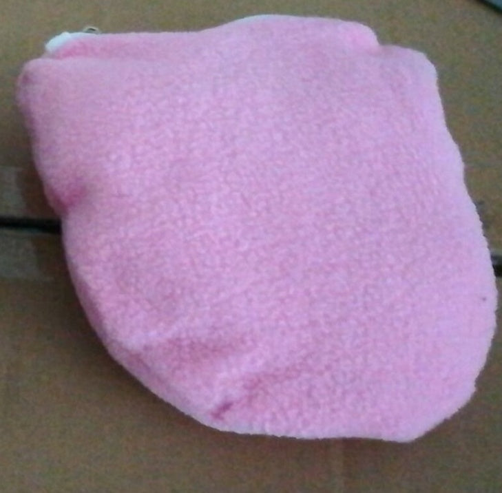 Guinea pig small pet chihuahua.