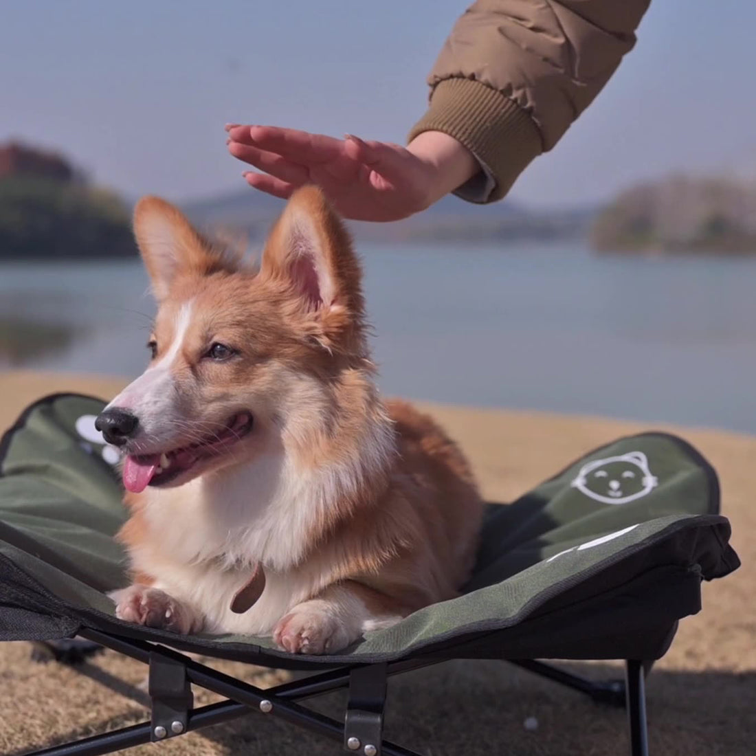 Outdoor pet folding bed