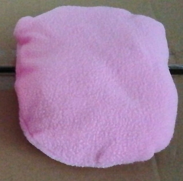 Guinea pig small pet chihuahua.