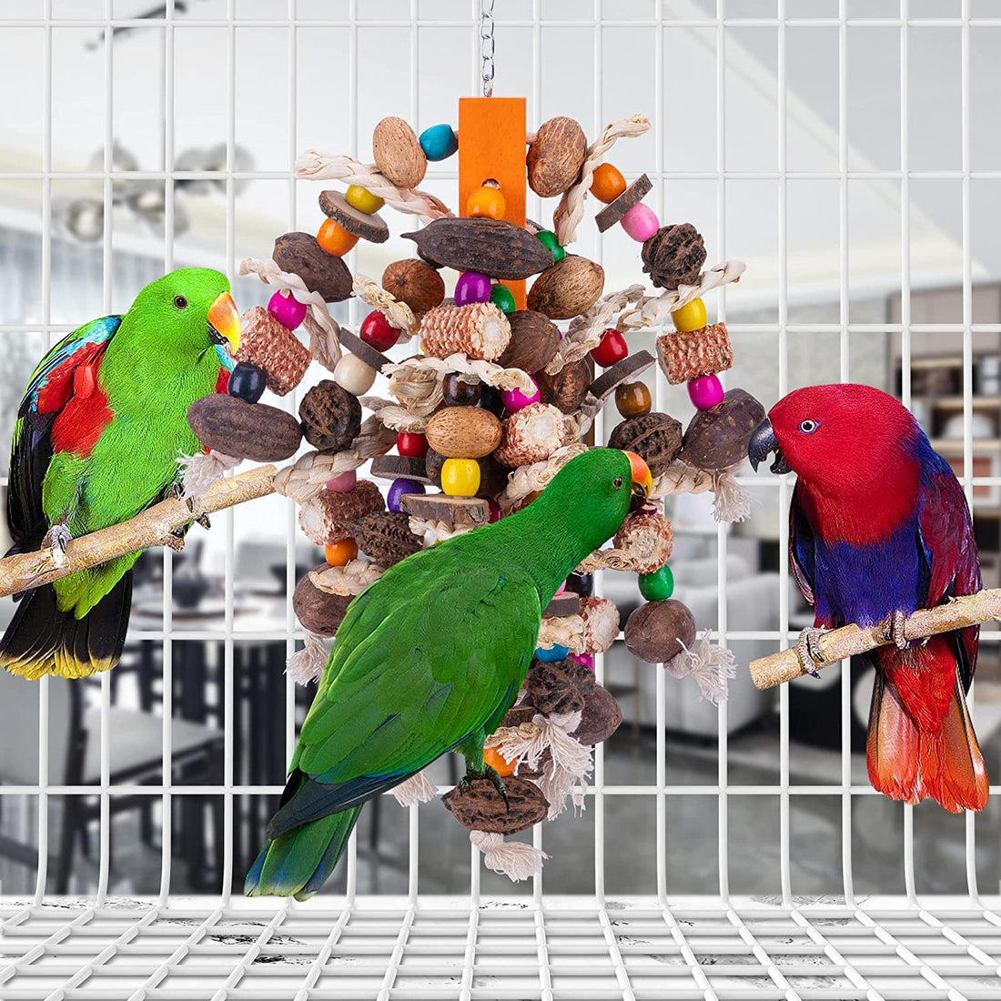 Large Parrots Nibbling Fruit Skewers