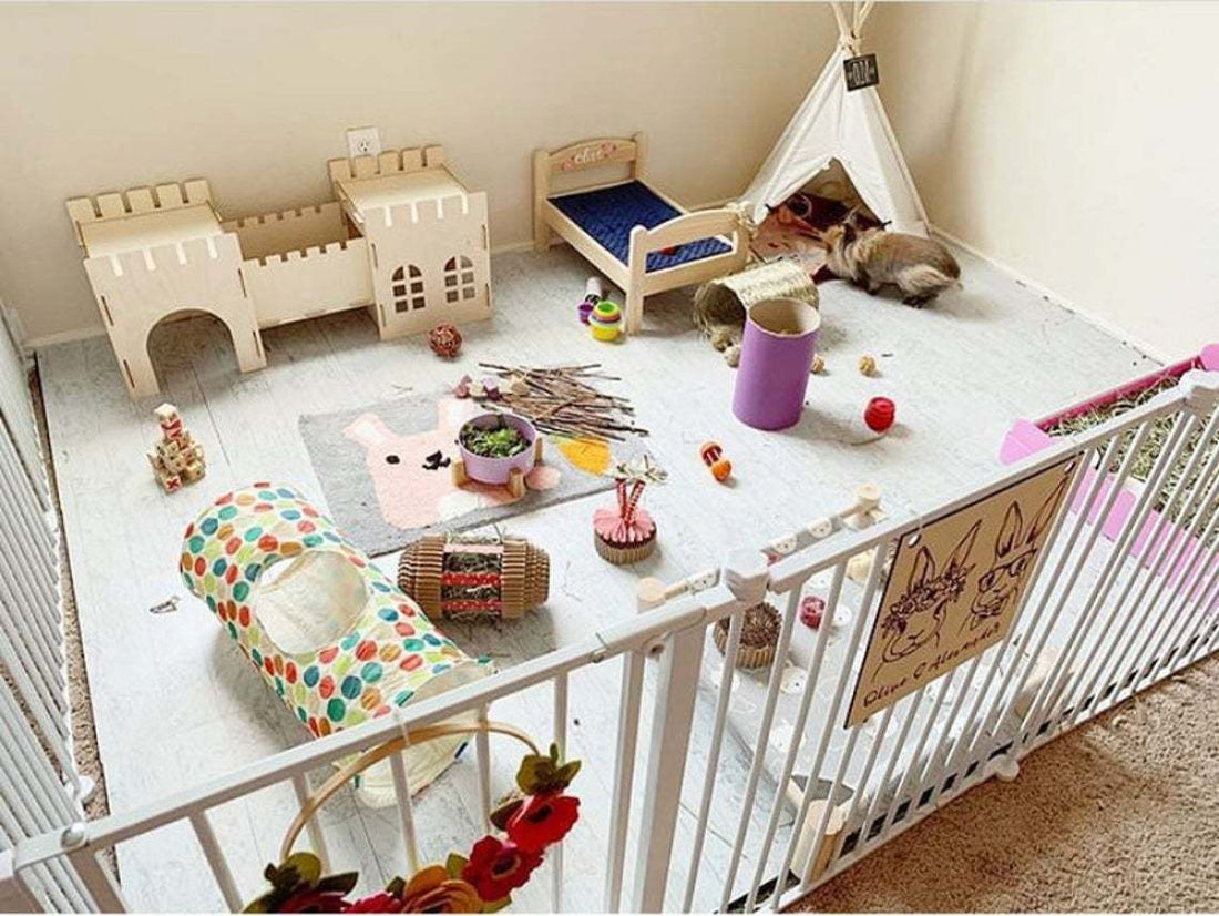 Rabbit Castle Pig Guinea Pig Shelter
