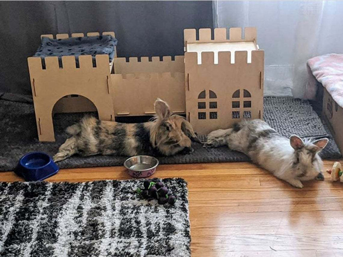 Rabbit Castle Pig Guinea Pig Shelter