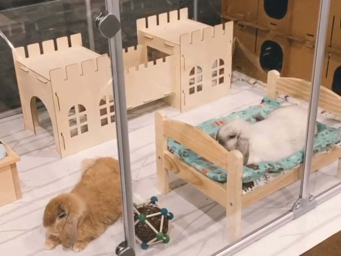 Rabbit Castle Pig Guinea Pig Shelter