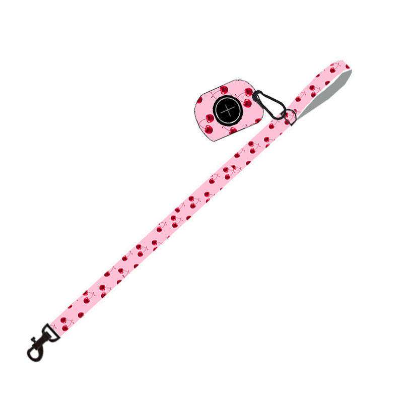 Pet Supplies Dog Leash Set
