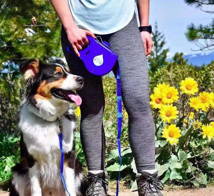 Multifunctional Portable Pet Leash