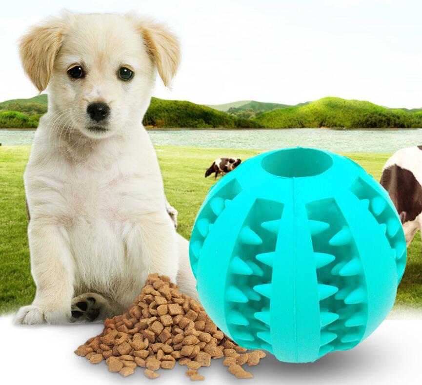 Pet Slow Feeder Dog Toy