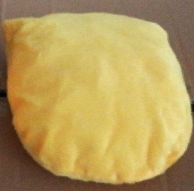 Guinea pig small pet chihuahua.