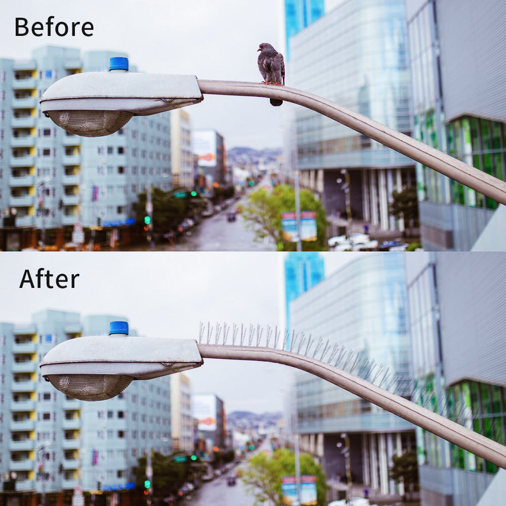 Bird thorn repellent