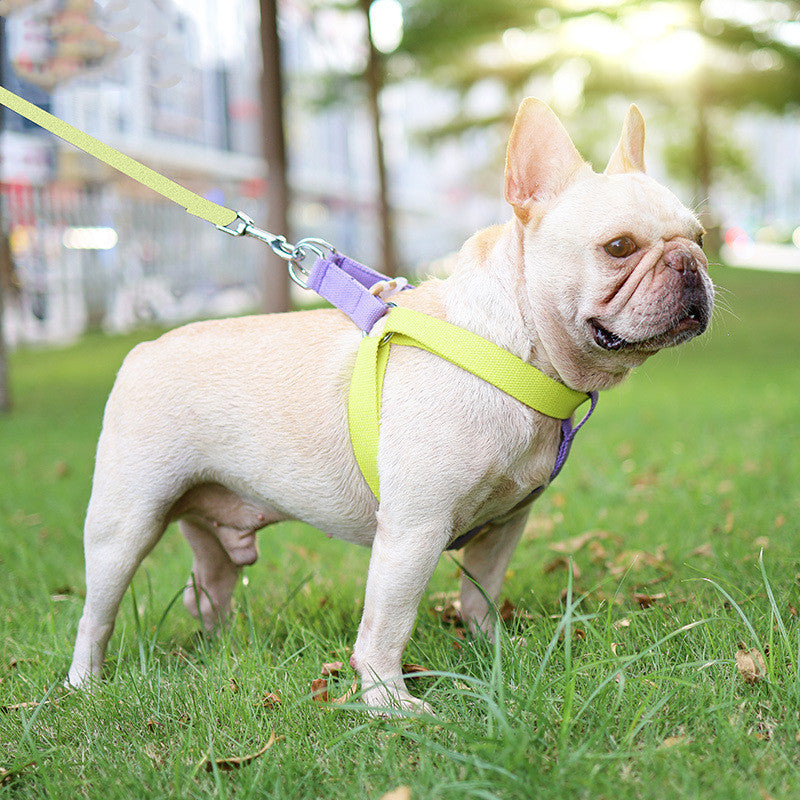 Pet Drawstring Leash Vest-style