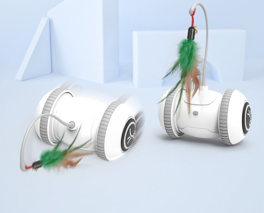 Interactive Pet Feather Toys
