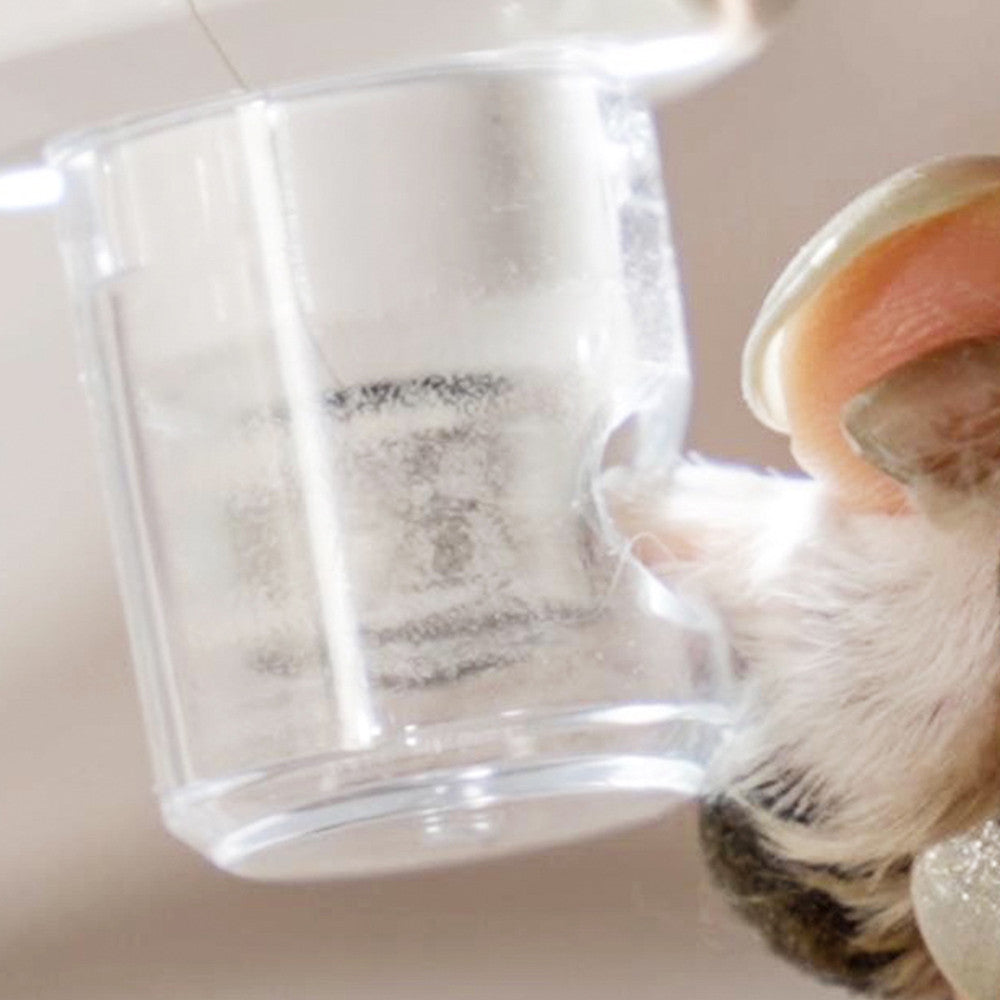 Pet Nail Piercing Device