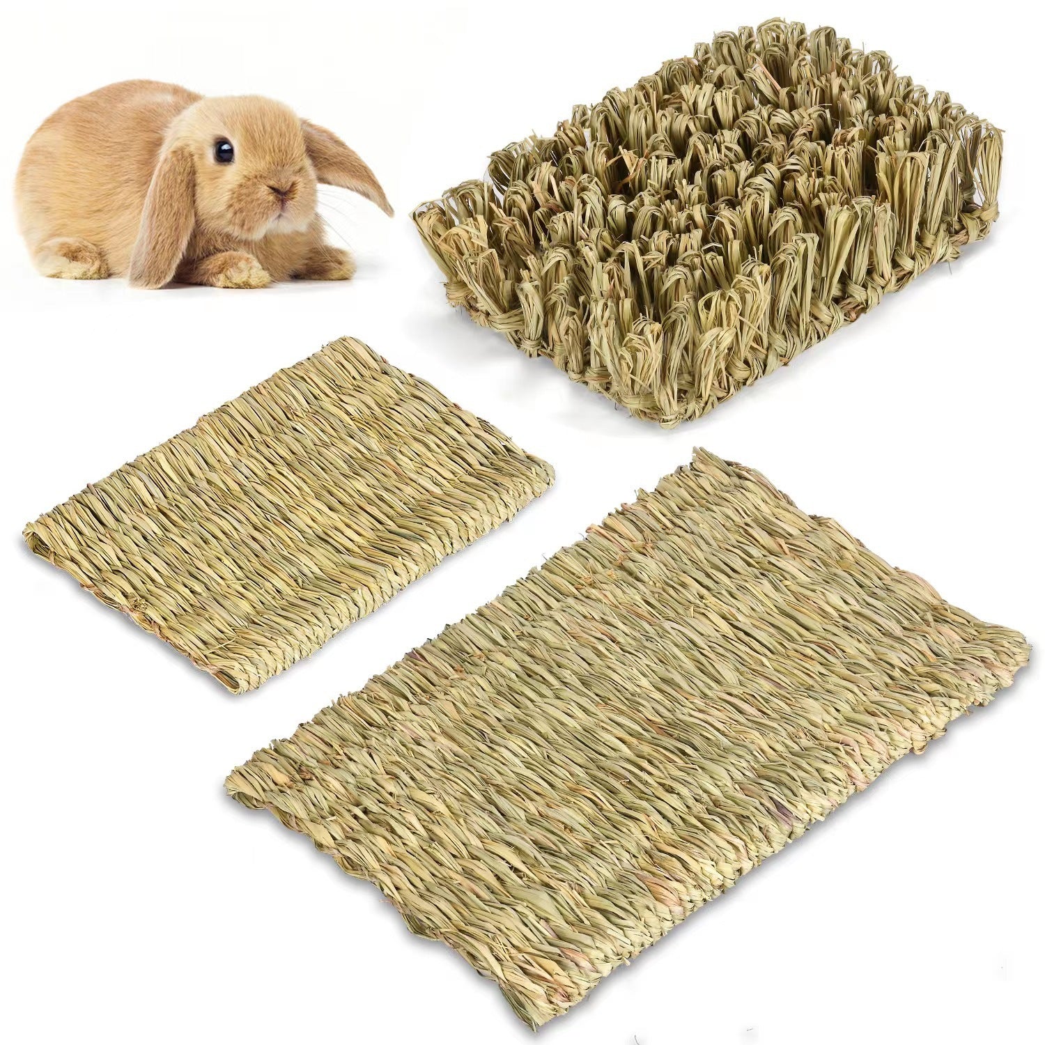 Totoro Guinea Pig Simulated Grass