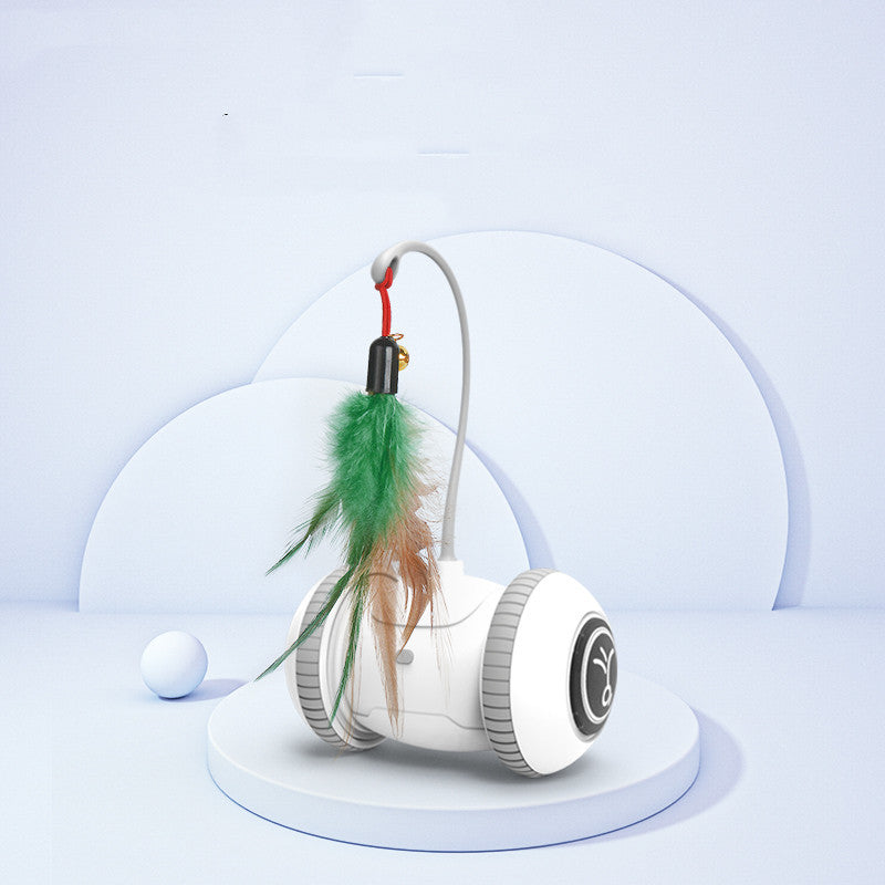 Interactive Pet Feather Toys