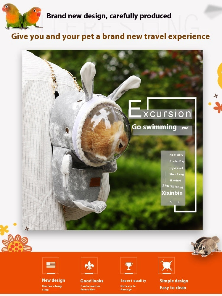 Hamster Guinea Pig Guinea