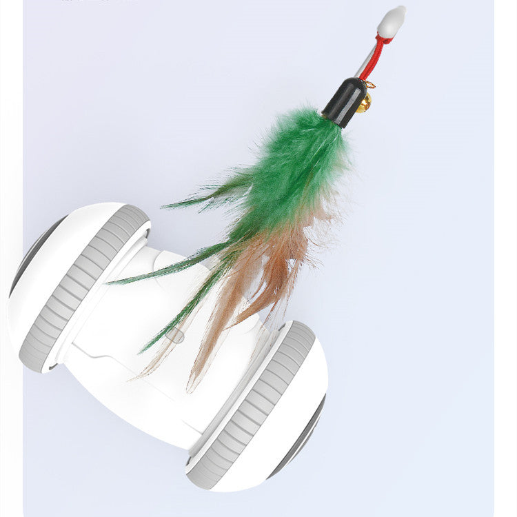 Interactive Pet Feather Toys