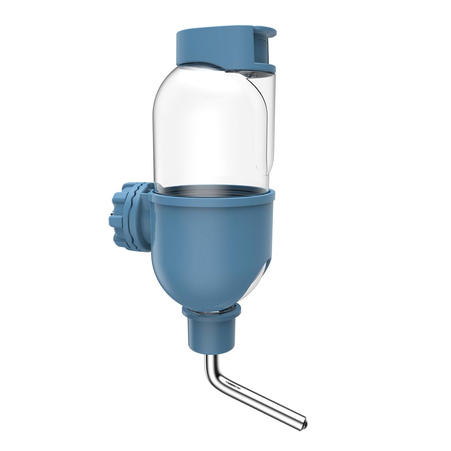 Rabbit Guinea Pig Chinchilla