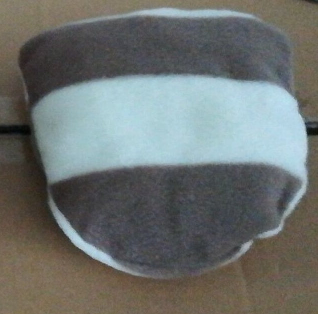 Guinea pig small pet chihuahua.