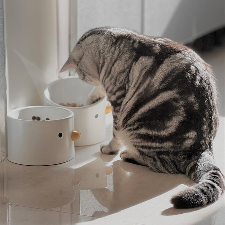Ceramic Slanted Pet Water Bowl