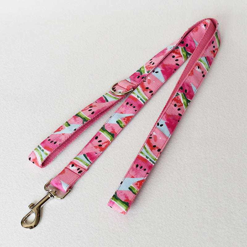 Pet Supplies Pet Leash