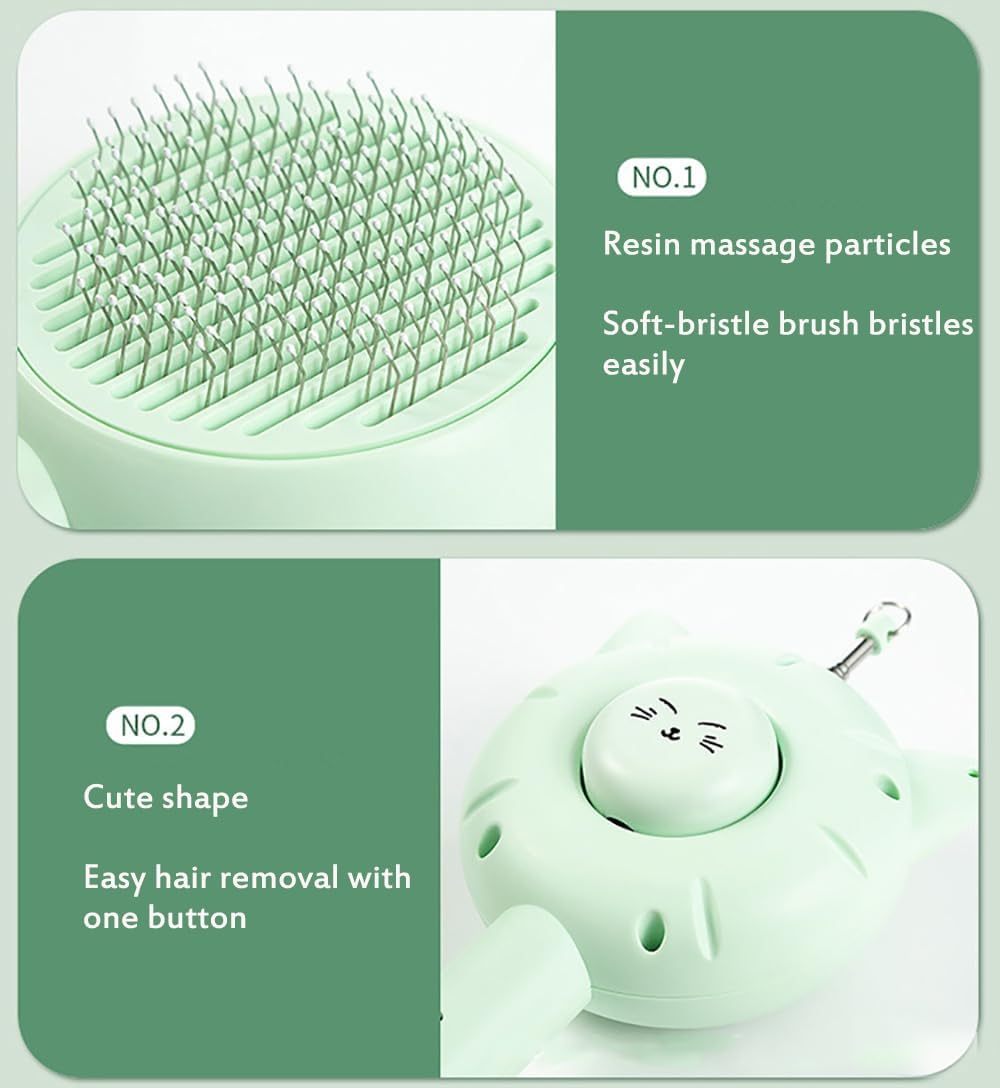 5-in-1 Interactive Cat Toys