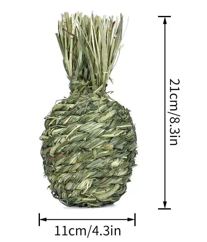 Totoro Guinea Pig Bite Molar Snacks