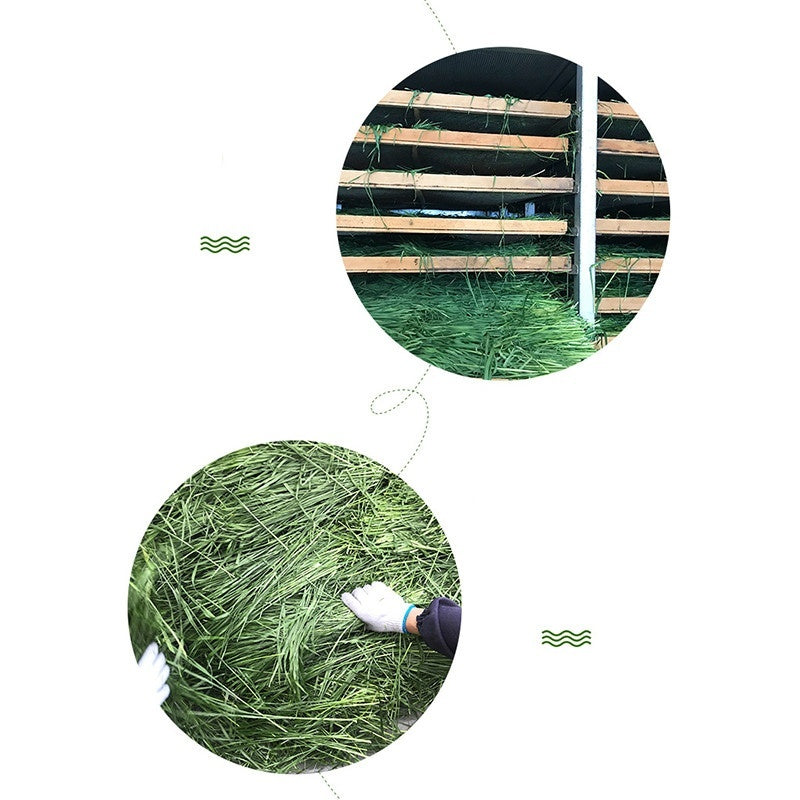 Pig Food Rabbits Pet Products