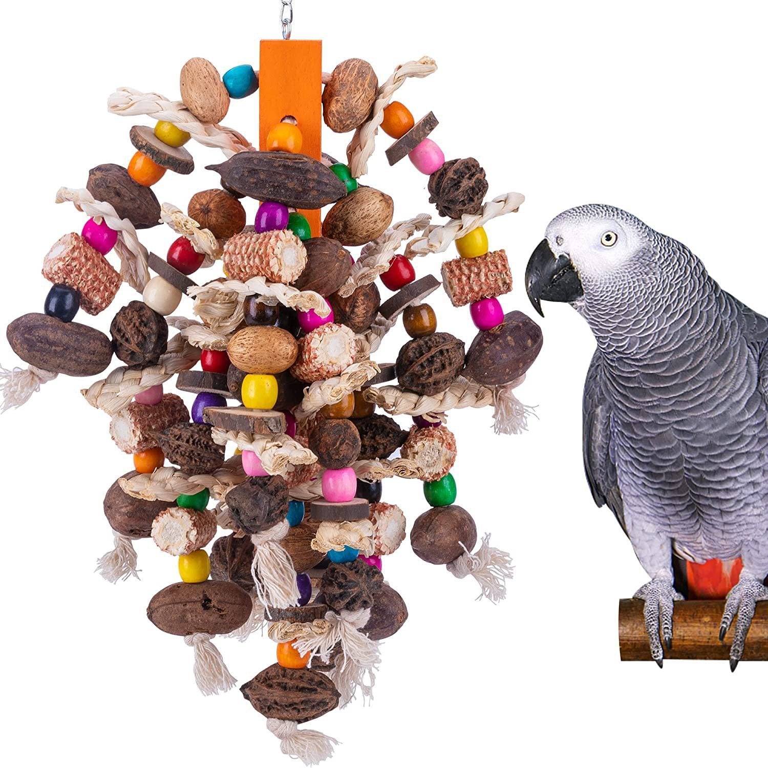 Large Parrots Nibbling Fruit Skewers