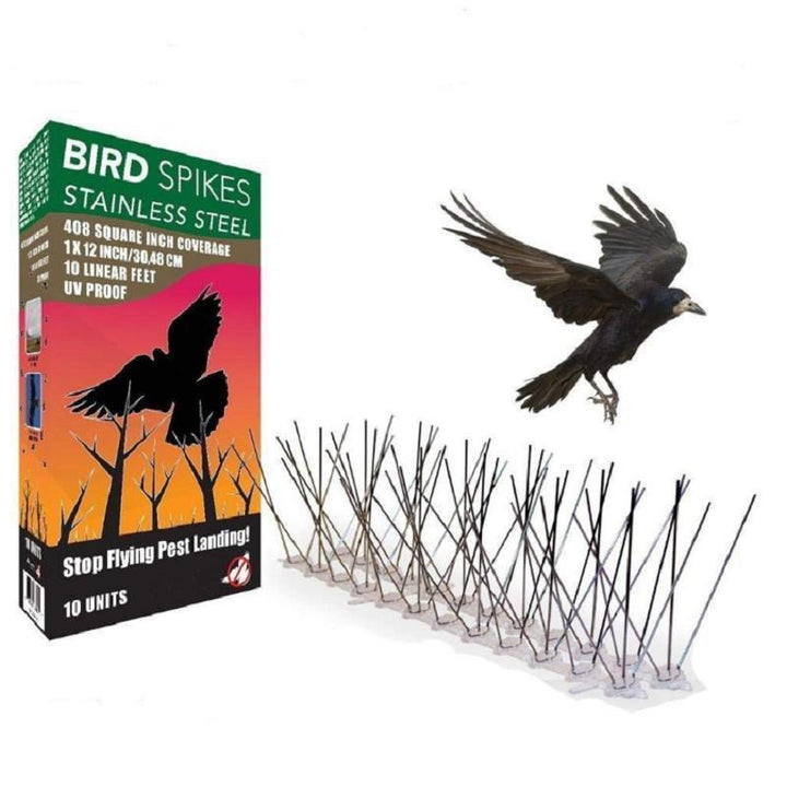 Bird thorn repellent