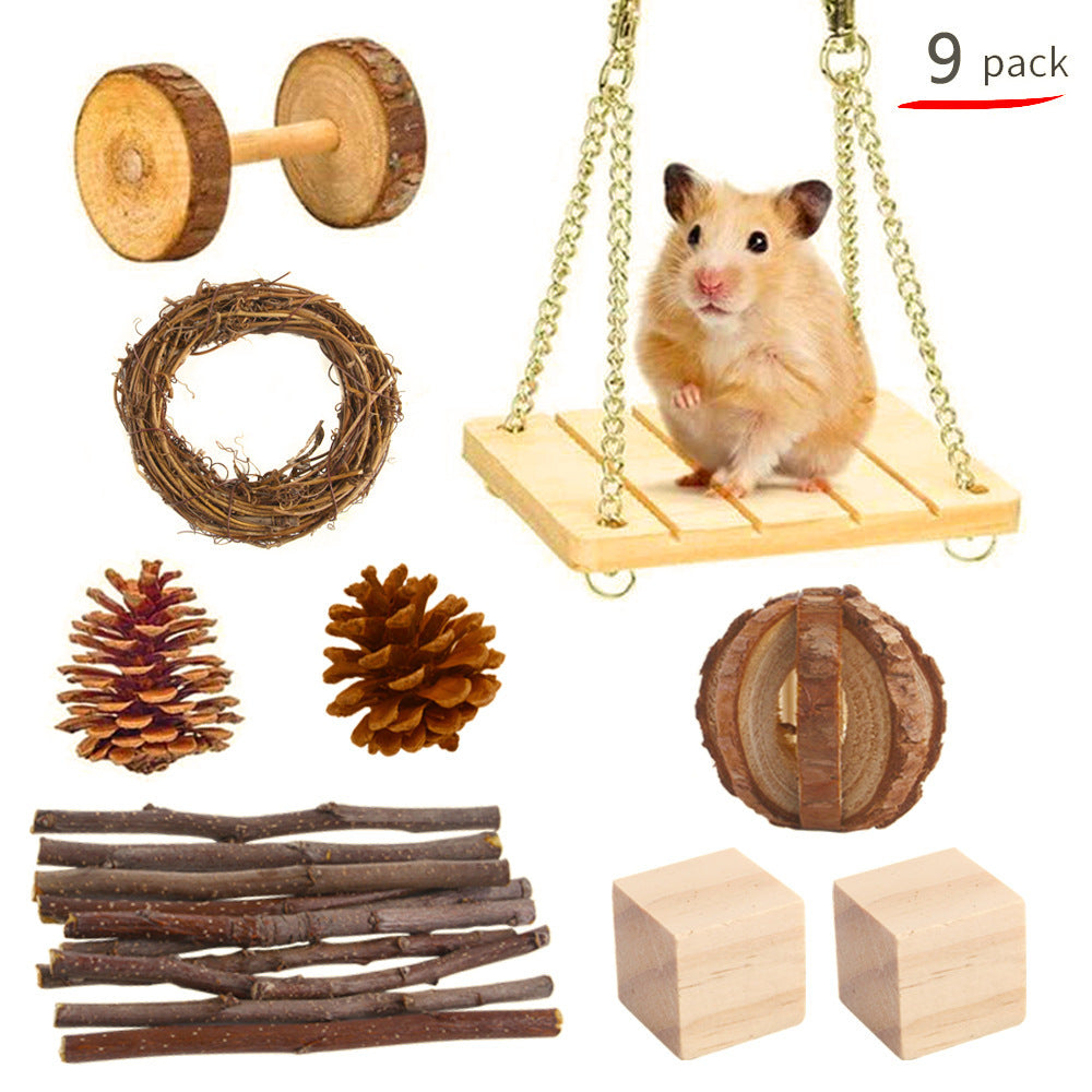 Guinea Pig Parrot Combination Set