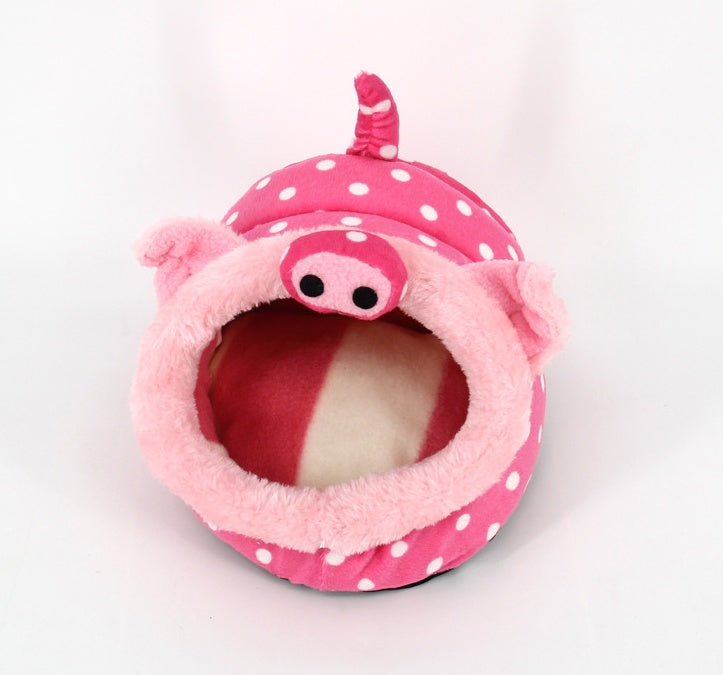 Guinea pig small pet chihuahua.