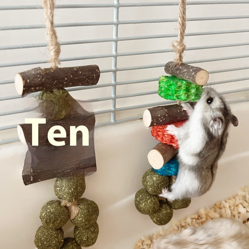 Hamster Guinea Pig Snack Bite Toy