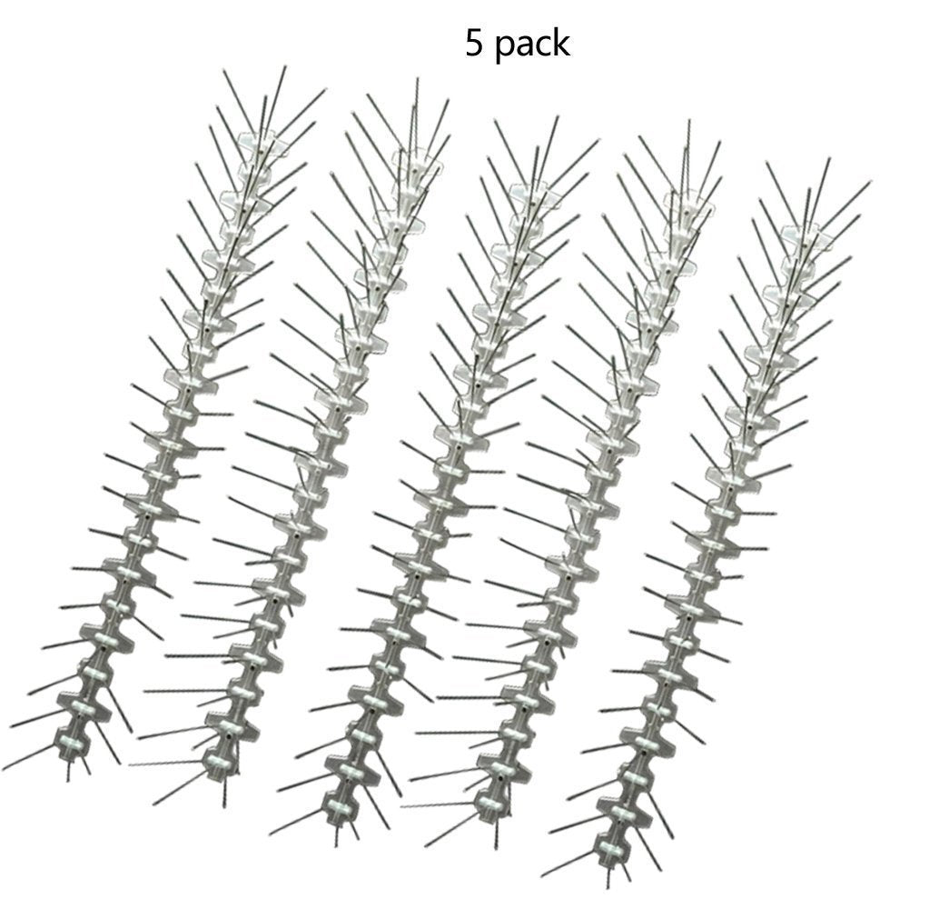 Bird thorn repellent