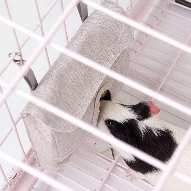 Rabbit Feeding Guinea Pig Hamster