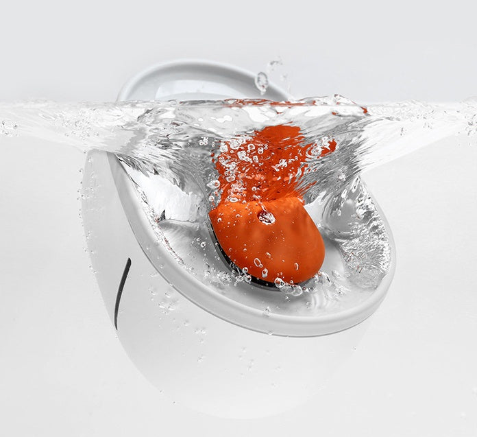 Pet Water Dispenser Drinking Bowl