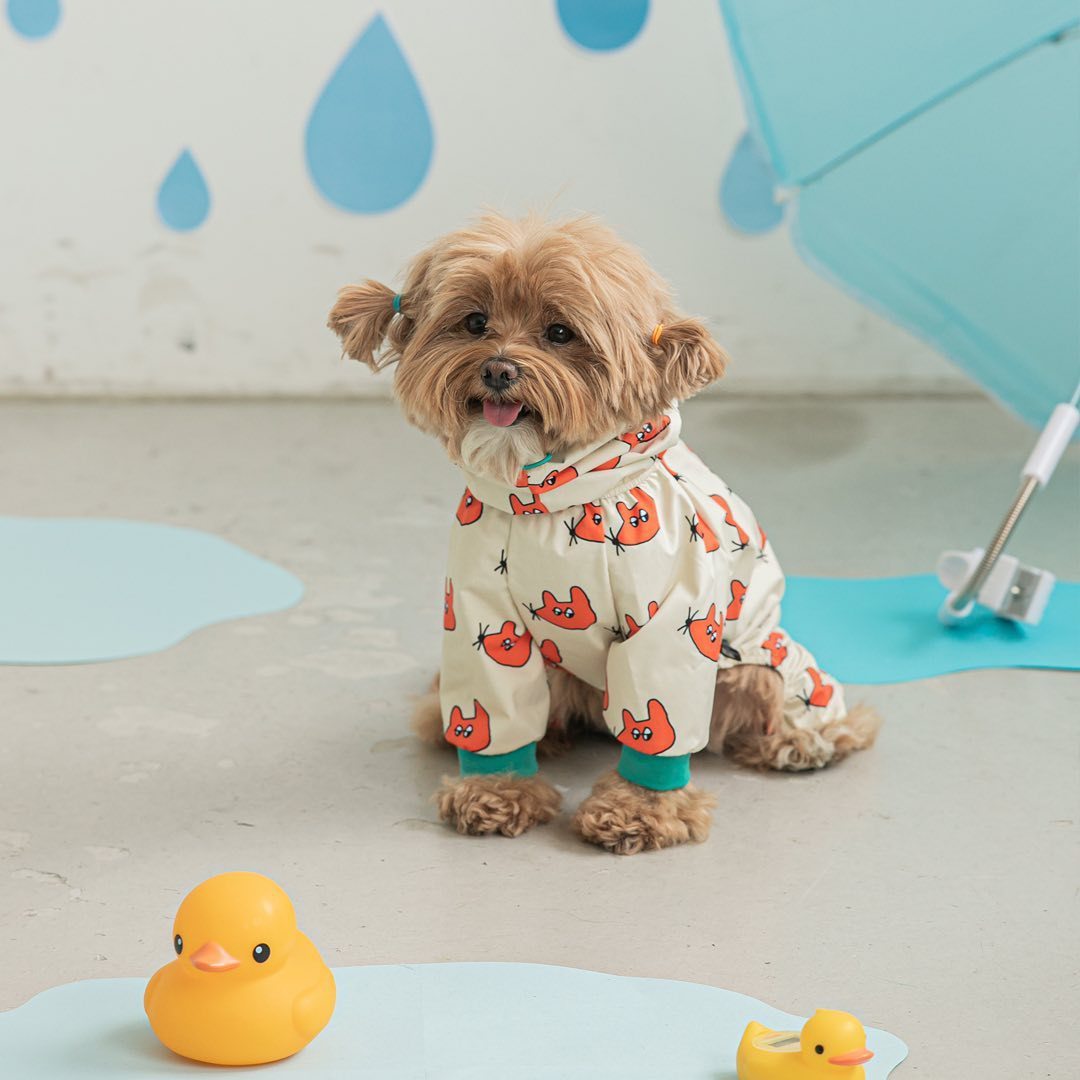 Fashion Pet Dog Waterproof Raincoat