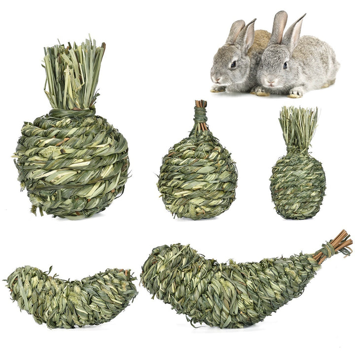 Totoro Guinea Pig Bite Molar Snacks