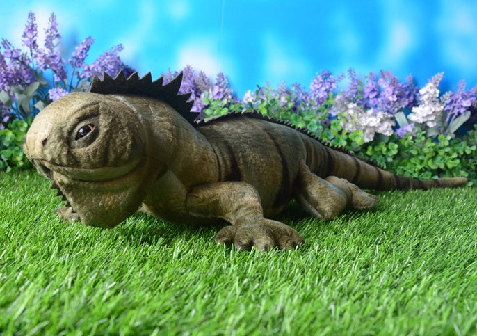 Lizard Chameleon Cotton Plush Toy