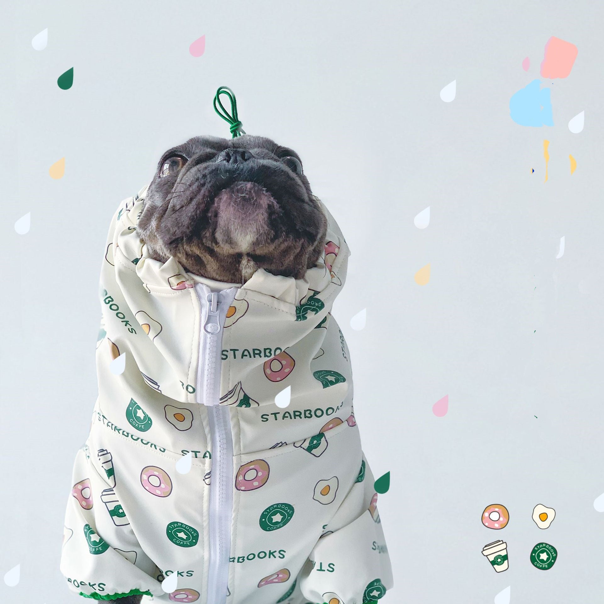 Leisure Pet Dog Raincoat Leather