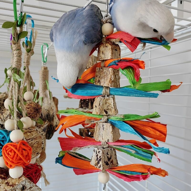 Parrot Toys Bird Cage
