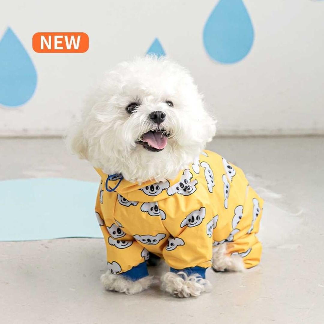 Fashion Pet Dog Waterproof Raincoat