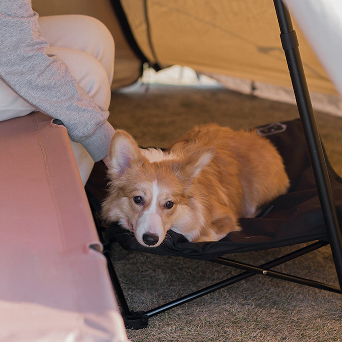 Outdoor pet folding bed