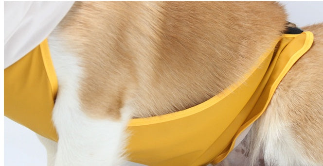 Dog Raincoat With Bellyband